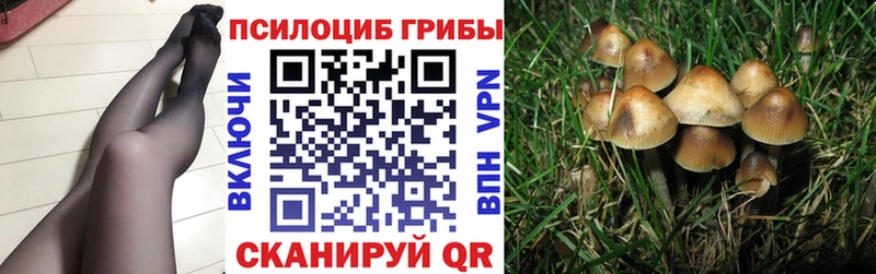 Псилоцибиновые грибы прущие грибы  Чадан 